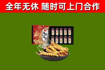 桐城烟酒回收冬虫夏草礼盒.jpg